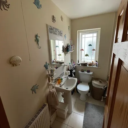 Ubytování v soukromí Family Enniscorthy