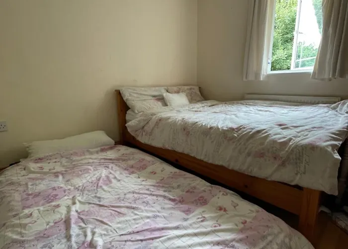 Family Проживание в семье *